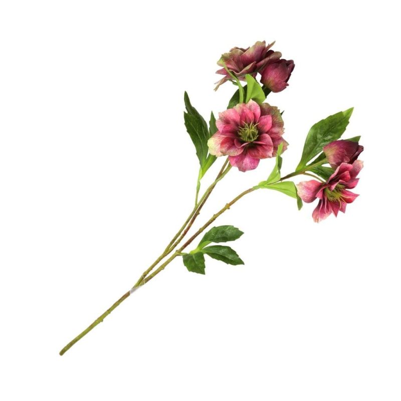 Rituali Domestici - Fiorile Helleboro Vinaccia - immagine 1