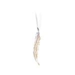 Swarovski - SCS Edizione Annuale Decorazione Piuma 2024 - immagine 2